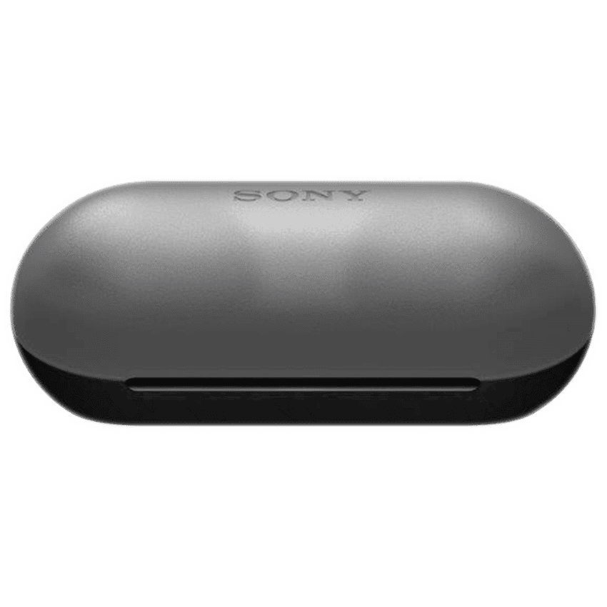 Sony WF-C500 (Black) True Wireless Earbuds 4