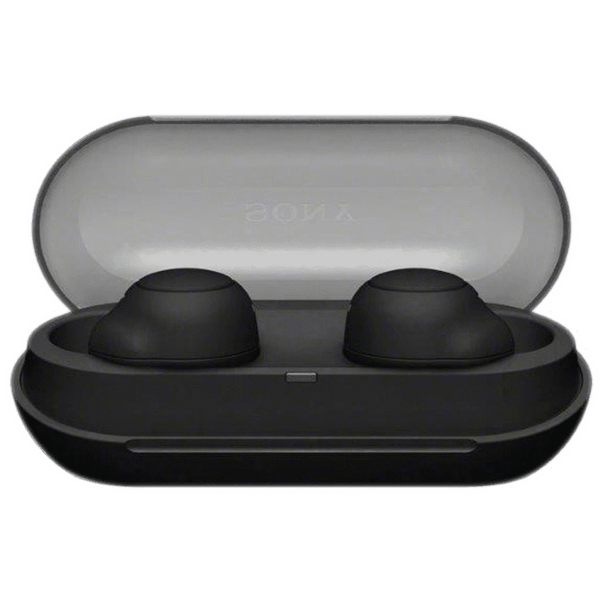 Sony WF-C500 (Black) True Wireless Earbuds 3
