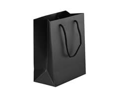 230gsm Matte Gift Bag - 33cm 6