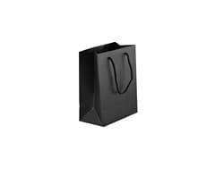 230gsm Matte Gift Bag - 33cm 8