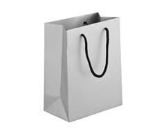230gsm Matte Gift Bag - 33cm 9