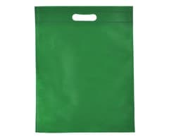 Budget Shopper Bag 1