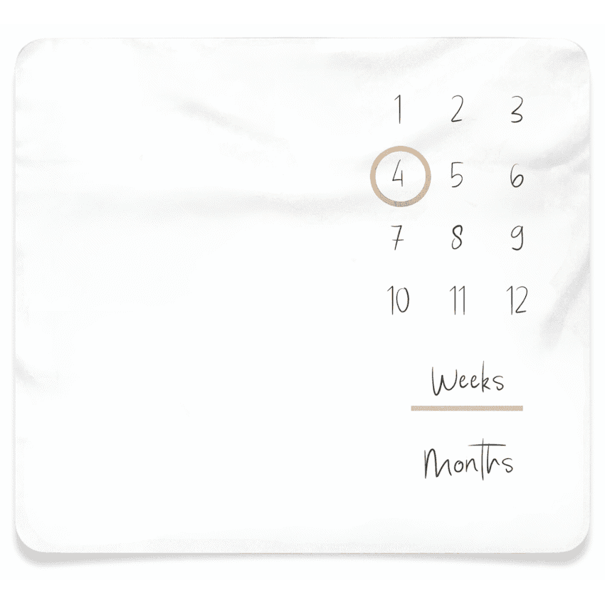 Echo Baby Milestone Blanket 4