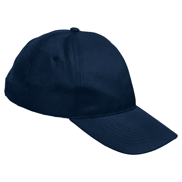5 Panel Boost Cap 4