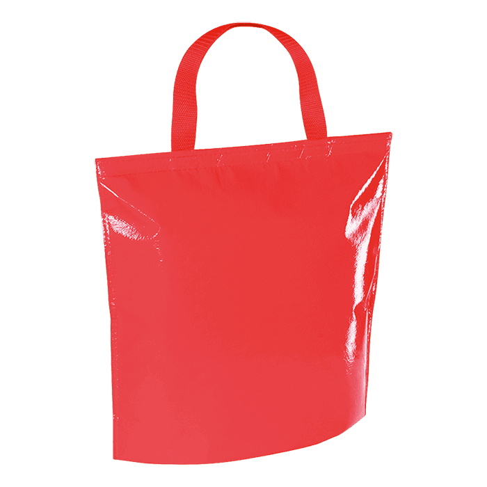 Hobart Cooler Bag 2