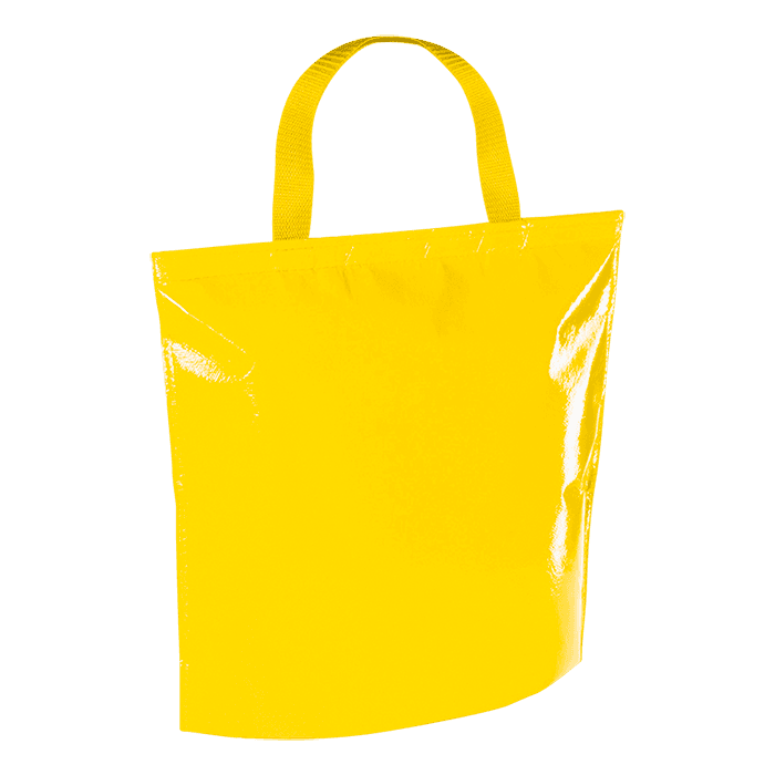 Hobart Cooler Bag 3