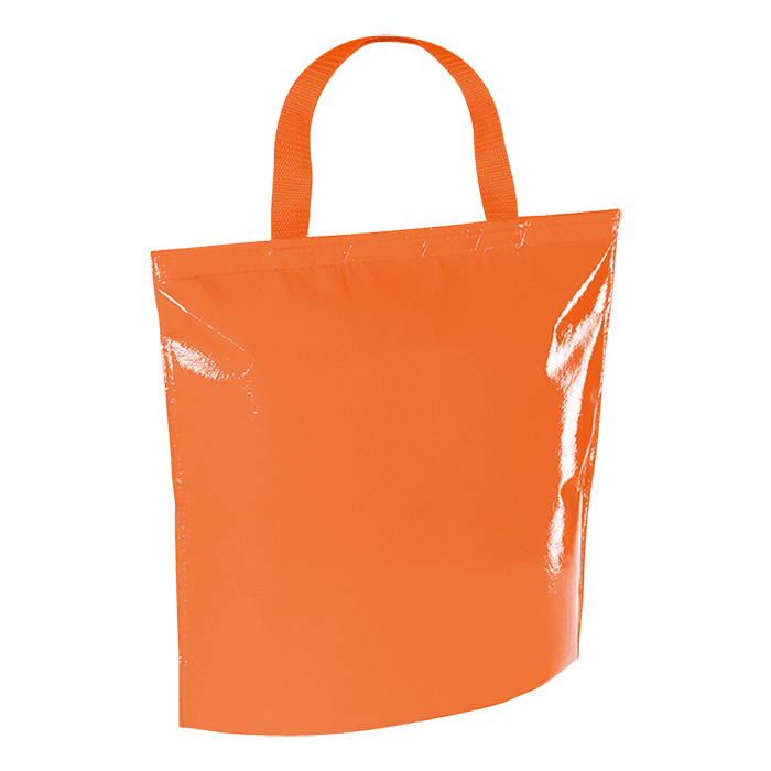 Hobart Cooler Bag 5