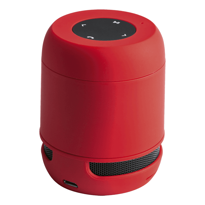 Braiss Bluetooth Speaker 4