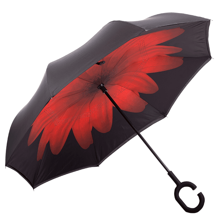 Printed Reversible Umbrella 3