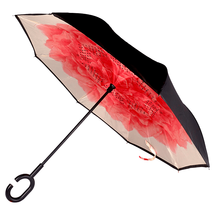 Printed Reversible Umbrella 11