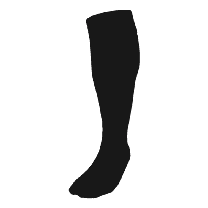 BRT Team Sock 2
