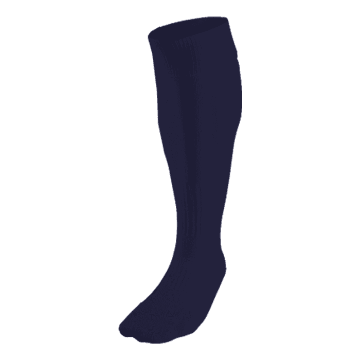 BRT Team Sock 6
