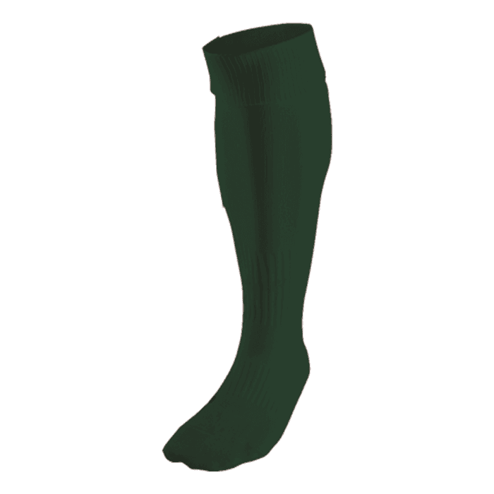 BRT Team Sock 10