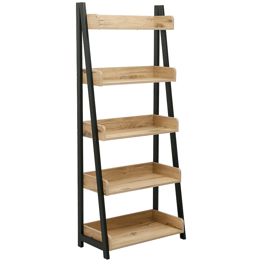 Aegla Bookshelf 1