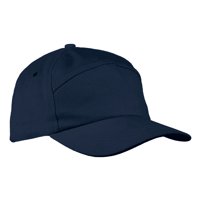 6 Panel Carbon Cap 3