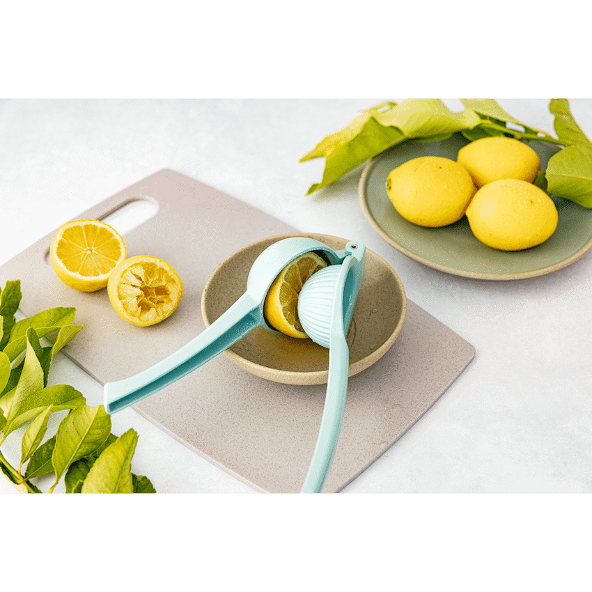 Kitchen Inspire Lemon Juicer 3