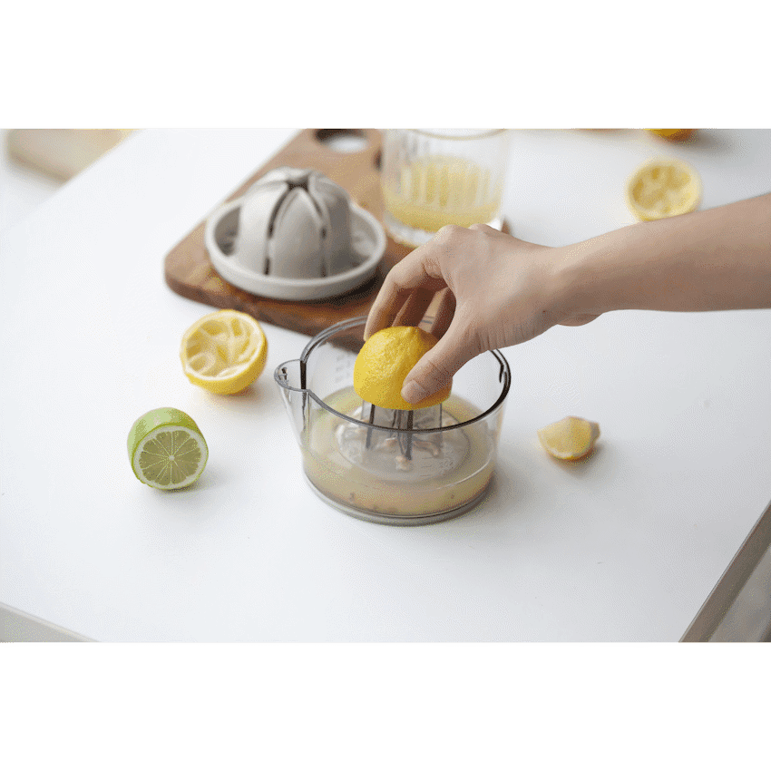 Kitchen Inspire Dual Juicer 5