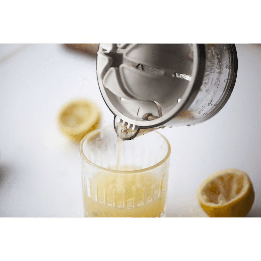 Kitchen Inspire Dual Juicer 4