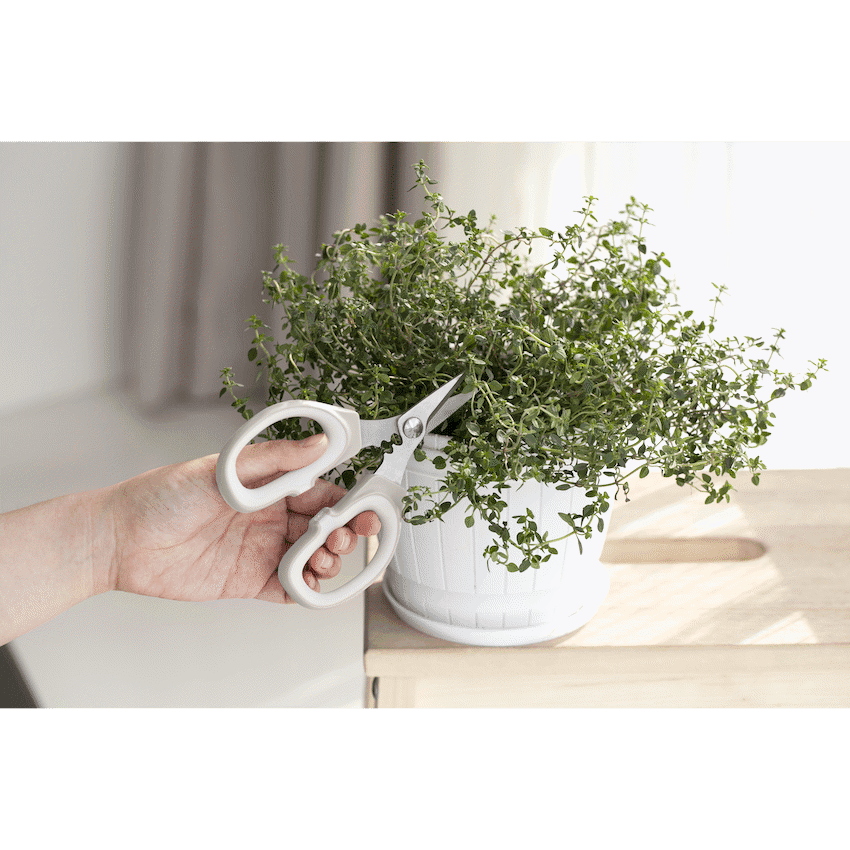 Kitchen Inspire Kitchen Scissors Small 4