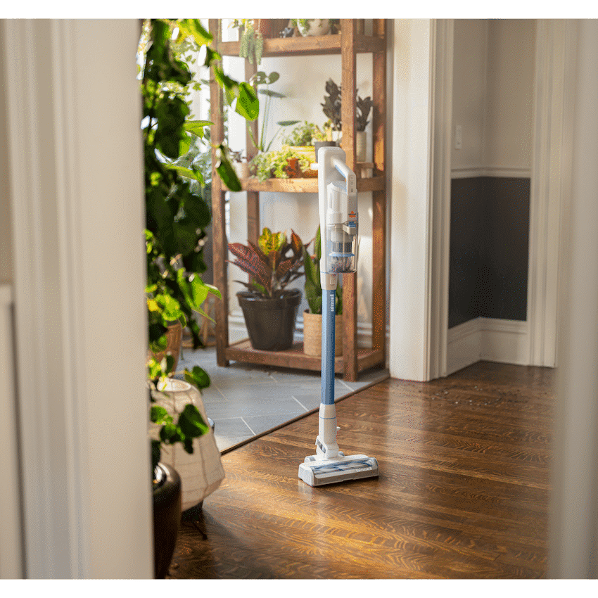 BISSELL PowerClean FurFinder 3