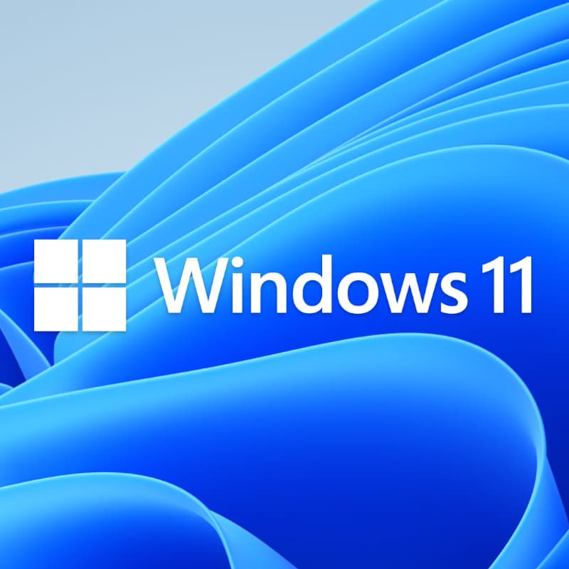 Microsoft Windows 11 Home Plus Single Language OEM 2