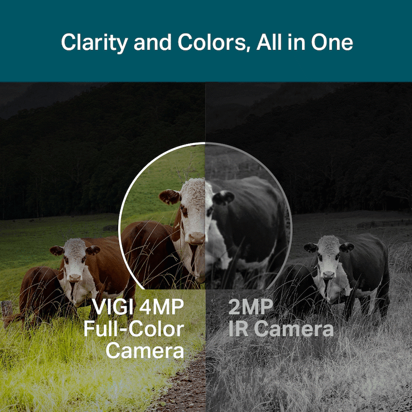 TP-Link Vigi C540-4G 4MP 4mm Outdoor Full-Color 4G PT Network Camera 5