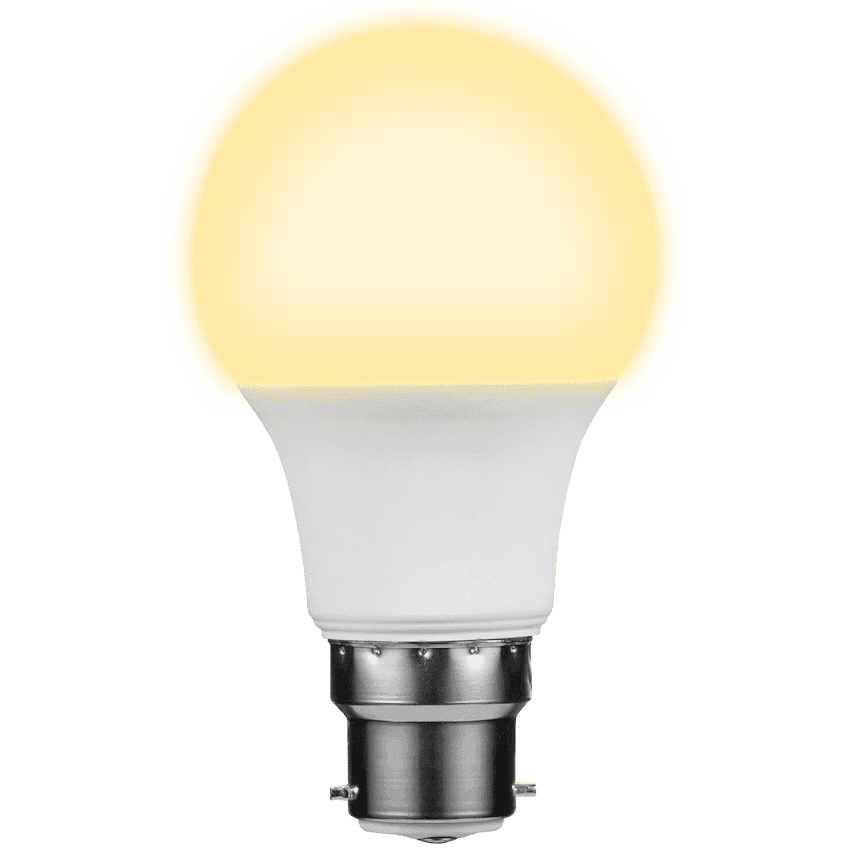 Switched 5w A60 Light Bulb B22 6