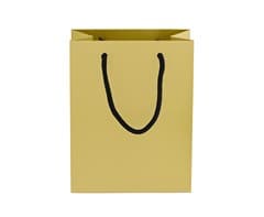 230gsm Matte Gift Bag - 23cm 4