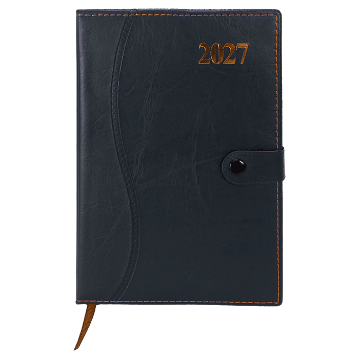 Barron 2027 Essential Diary 2