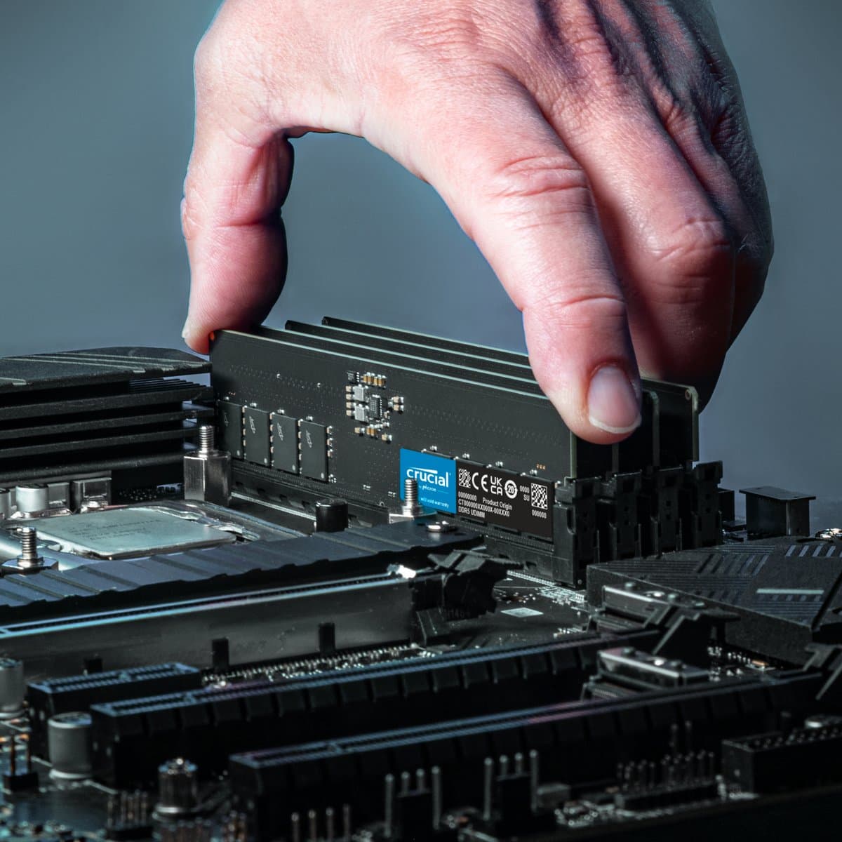 Crucial 16GB 5600MHz DDR5 Desktop Memory 4