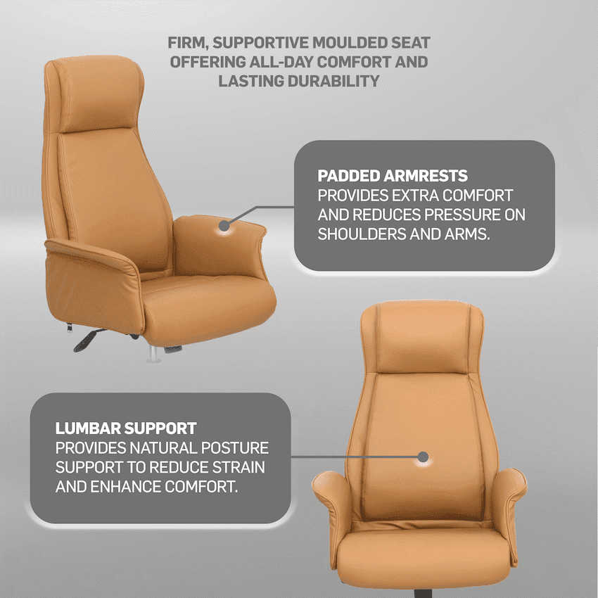 Everfurn Palmer Manager Office Chair 6