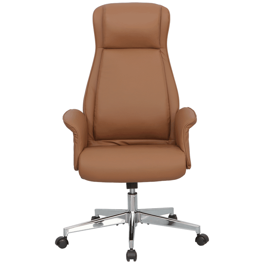 Everfurn Palmer Manager Office Chair 10