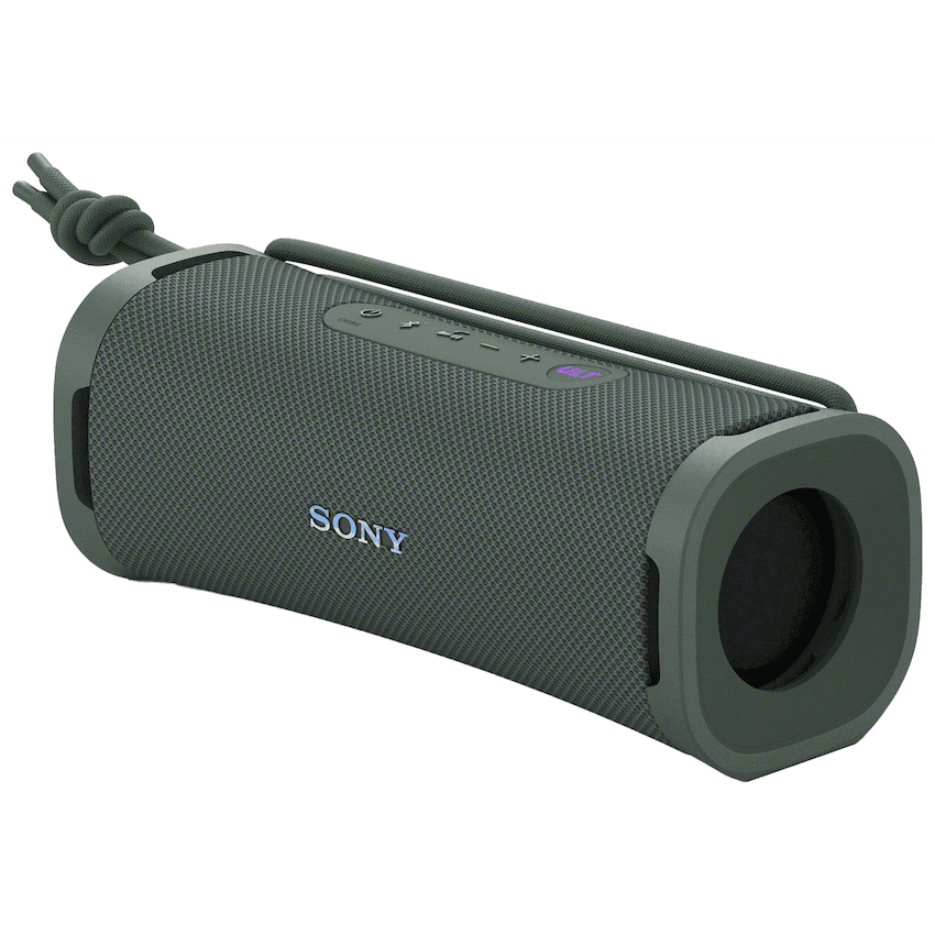 Sony ULT Field 1 - Forest Gray 2