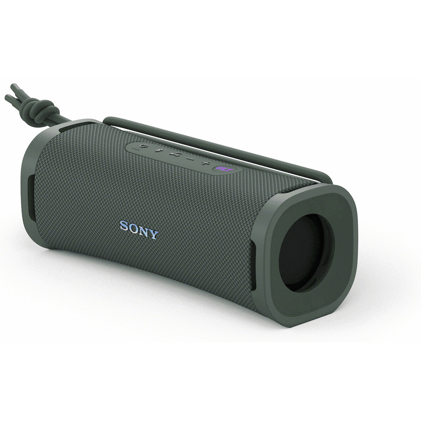 Sony ULT Field 1 - Forest Gray 3