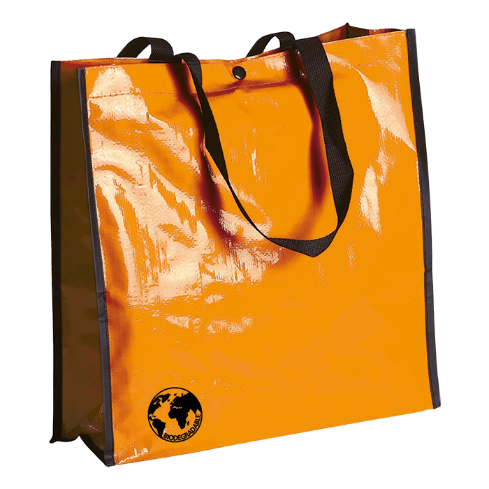 Recycle Bag 5