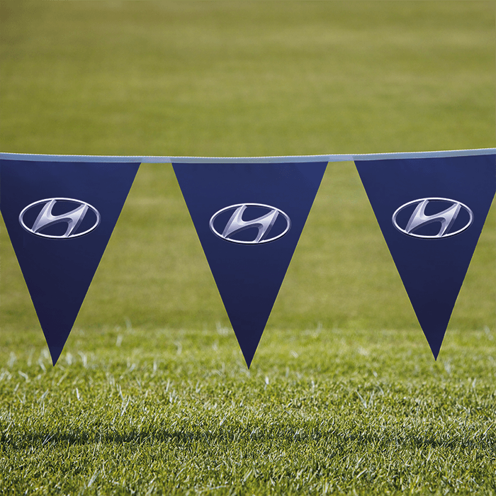 Pennants PVC Digital Double Sided Triangle 1
