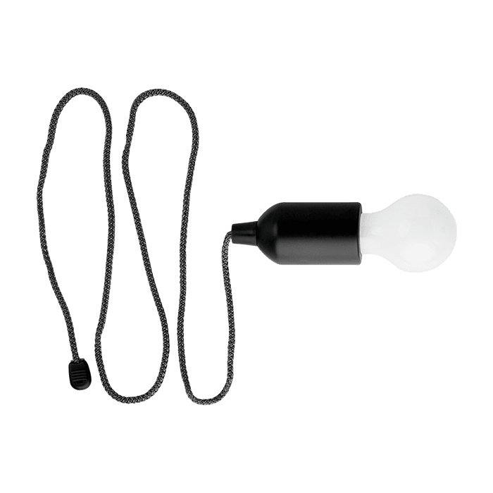 Light Bulb Shaped LED Light 2