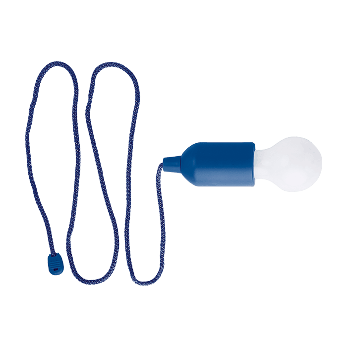 Light Bulb Shaped LED Light 1