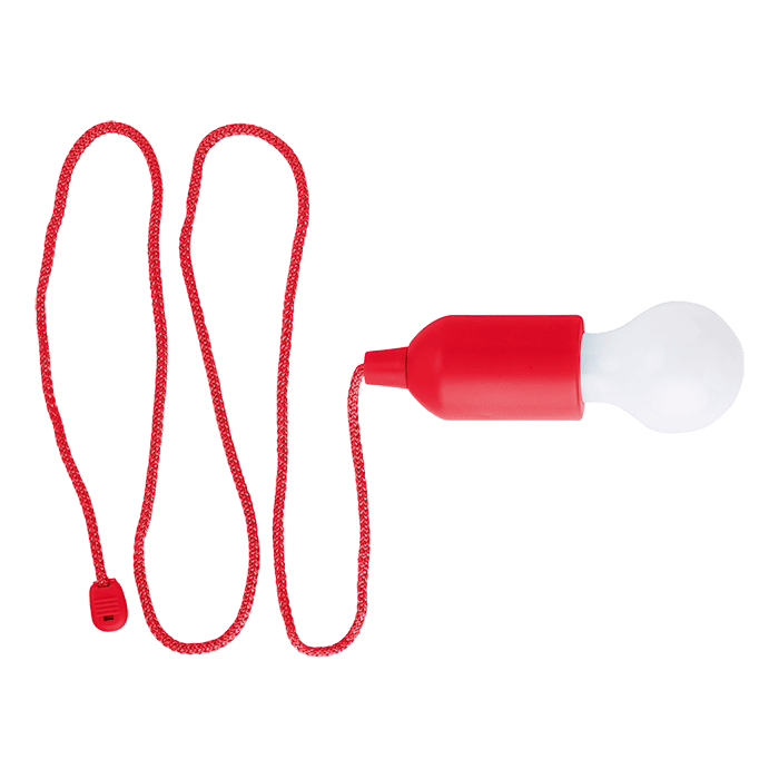 Light Bulb Shaped LED Light 3