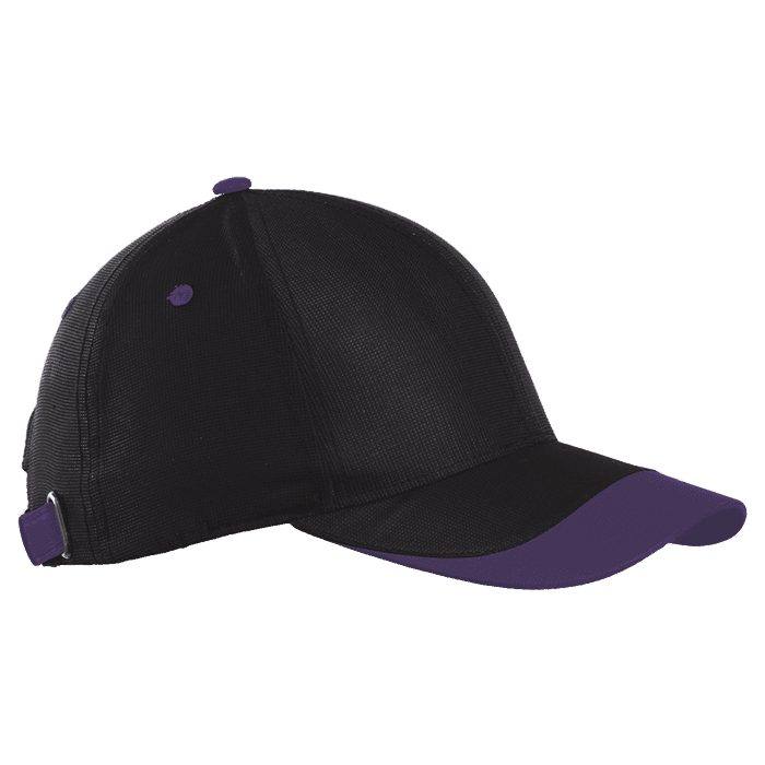 6 Panel Sway Cap 1