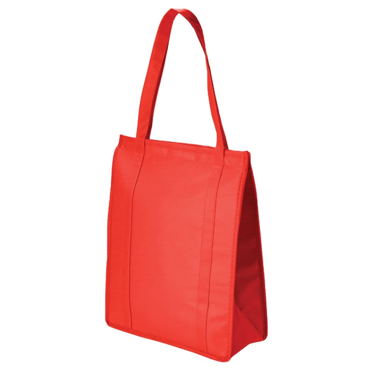 EasyCool Cooler Bag 2
