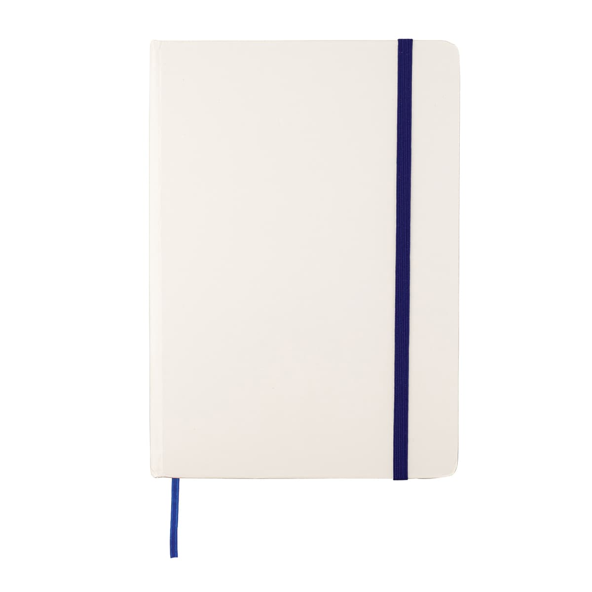 Chelsea Colour Notebook 2