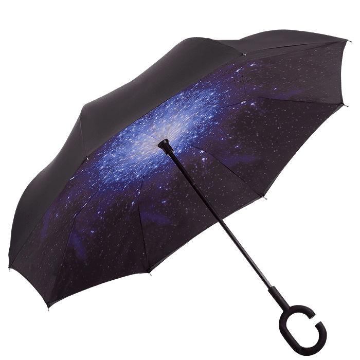 Printed Reversible Umbrella