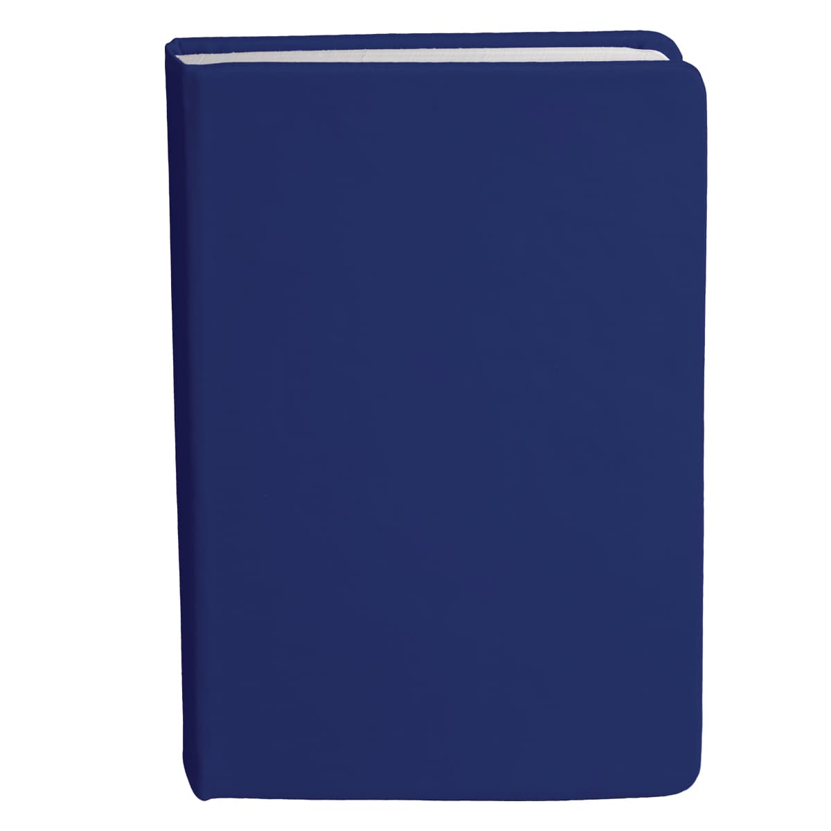 Bingham Notebook