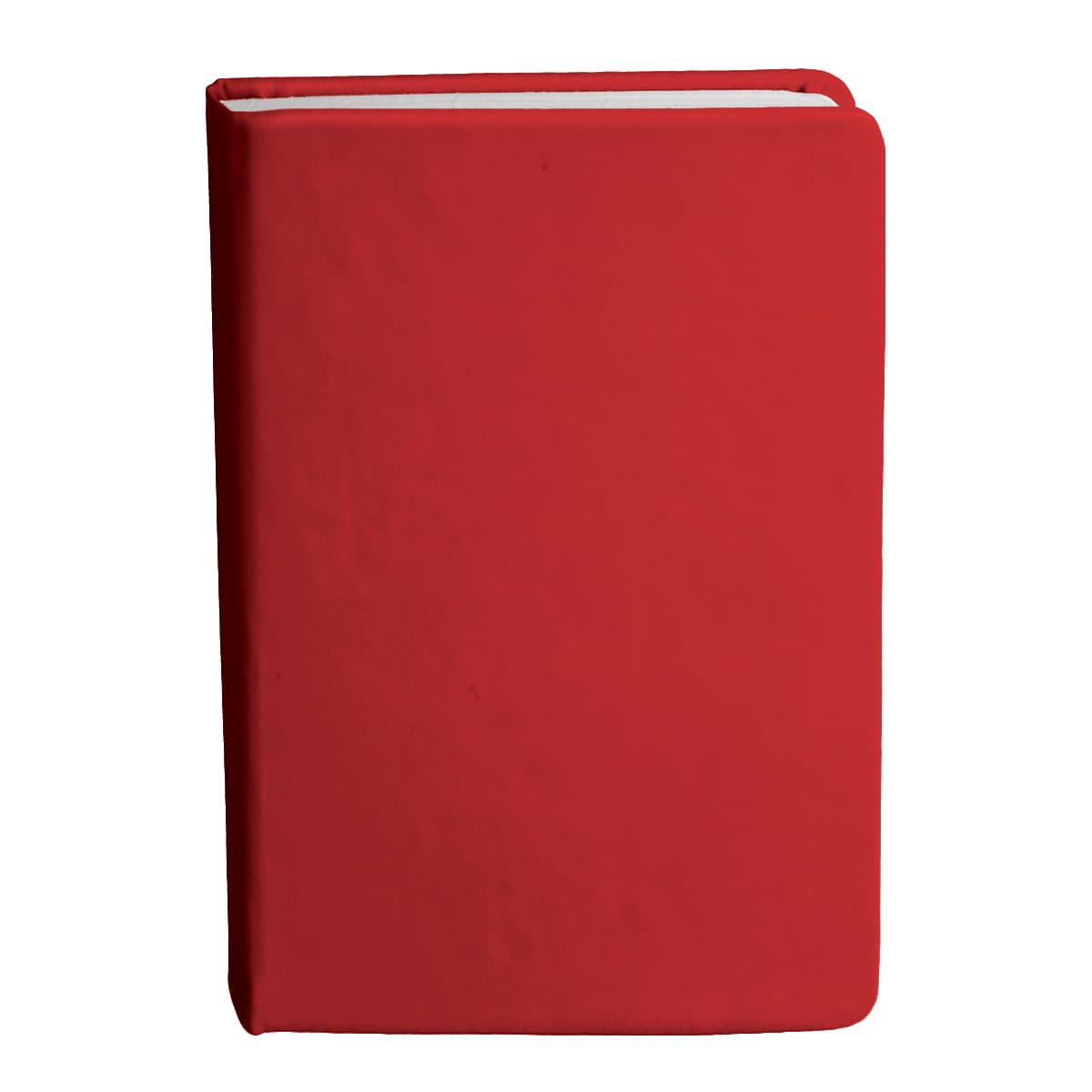Bingham Notebook