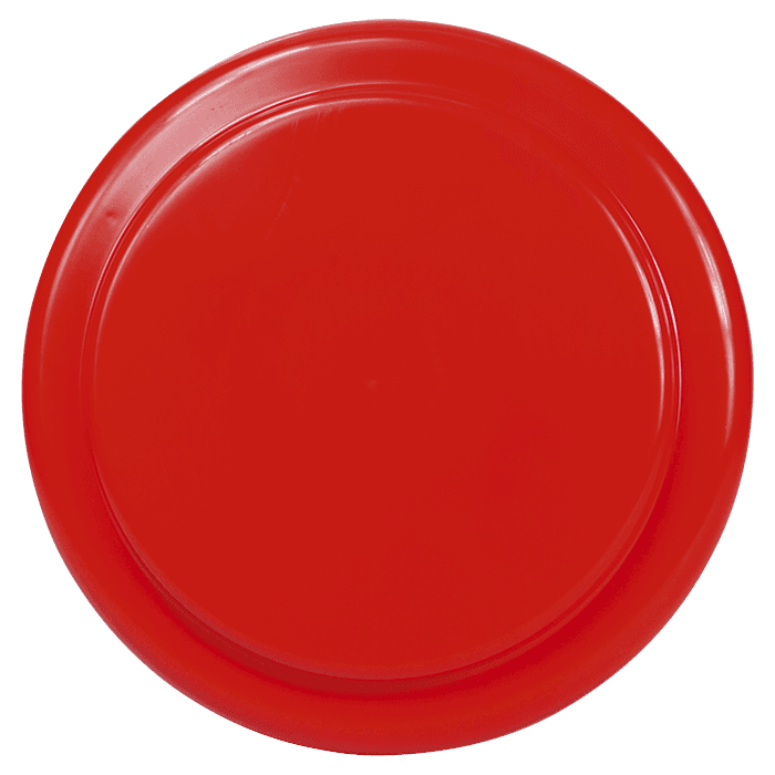 Frisbee Vanessa