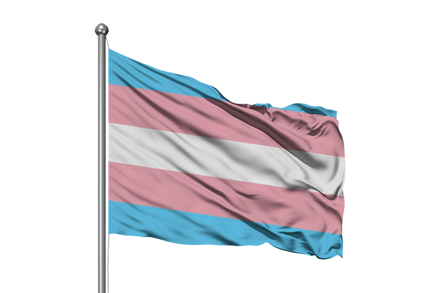 TRANSGENDER FLAG 180 x 120cm (Ultrasheen)