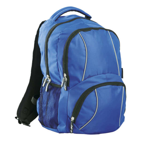 BRT Reflect Back Pack