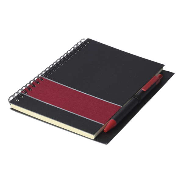 Coloured Stripe Notebook with Pen