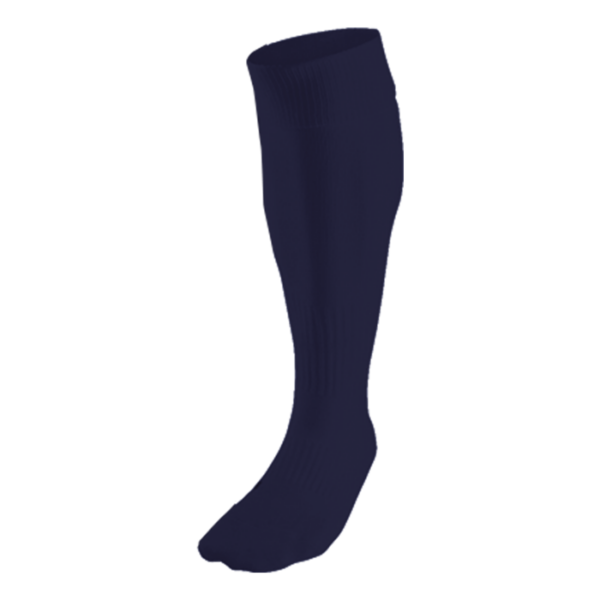 BRT Team Sock - Image 5